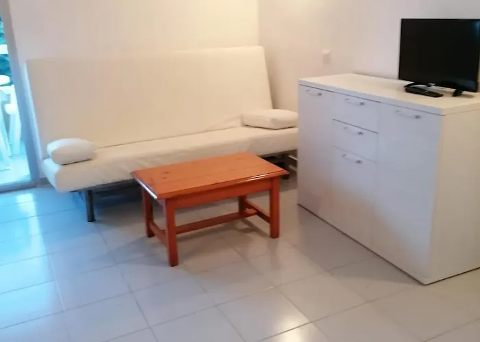 Argonavis L'Estartit